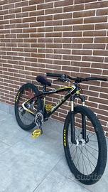 scott scale 26