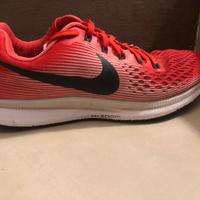 Nike Zoom Pegasus 34