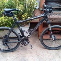 mtb olympia spike carbonio