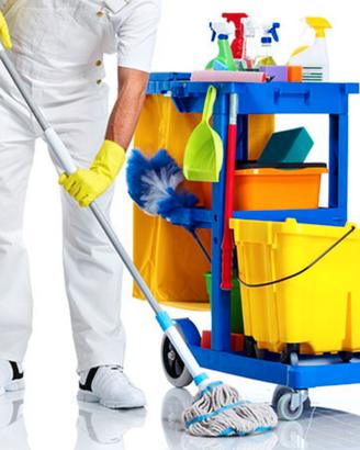 Lavori di pulizia per aziende e condomini