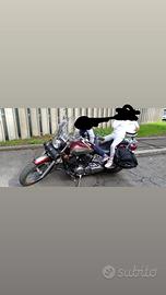 Yamaha DragStar 650 (detta anche V-Star 650)