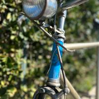 Bicicletta Cannatella - pezzo unico