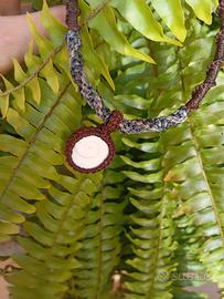 collana occhio di shiva