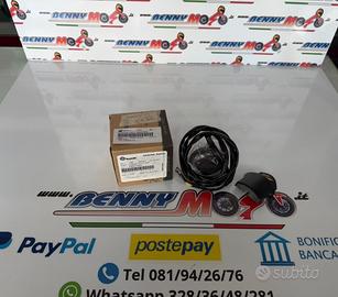 LUCE TARGA BENELLI LEONCINO 500/ 500 TRAIL