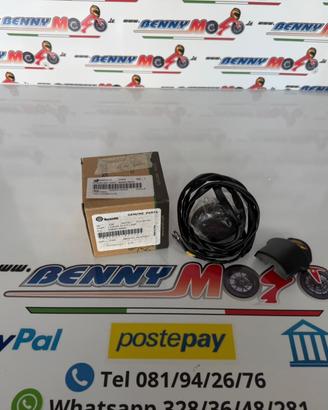 LUCE TARGA BENELLI LEONCINO 500/ 500 TRAIL