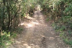 Vendita Terreno Monte Argentario mq 2350