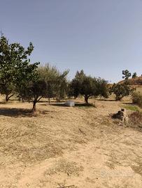 Terreno - Caltagirone