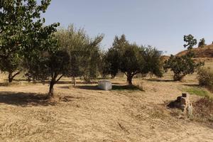 Terreno - Caltagirone