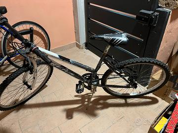 Mtb donna