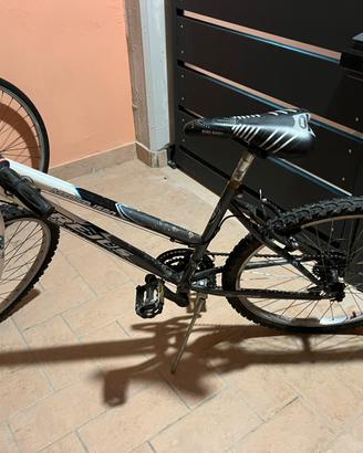 Mtb donna