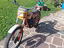 Immagine 3
