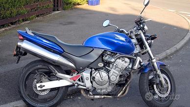 Honda hornet