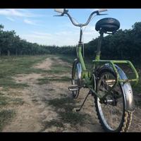 Bicicletta Graziella TRATTABILE