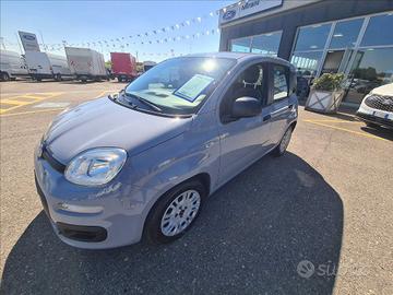 FIAT Panda 1.0 firefly hybrid s&s 70cv 5p.ti