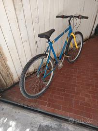 Bicicletta