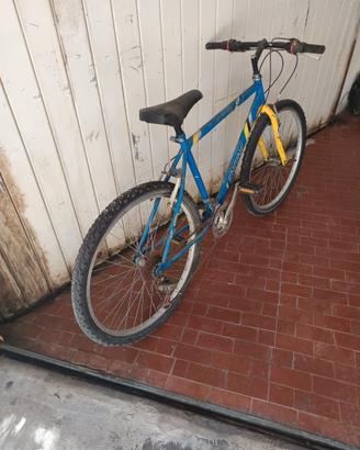 Bicicletta
