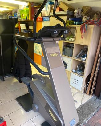 Technogym XTPRO 600 STEP