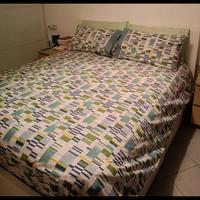 Struttura Letto matrimoniale con doghe