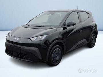 BYD Dolphin Surf Active