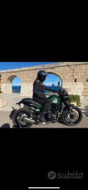 Benelli leoncino 500