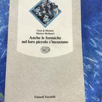 Anche le formiche nel loro piccolo s'incazzano