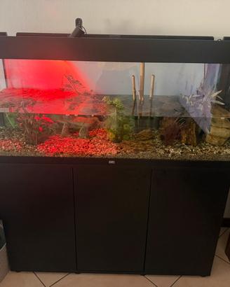 Acquario juwel rio 240
