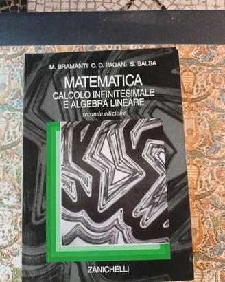 MATEMATICA CALCOLO INFINITESIMALE SECONDA EDIZIONE