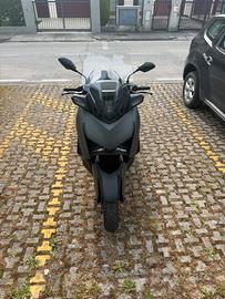 Xmax 300