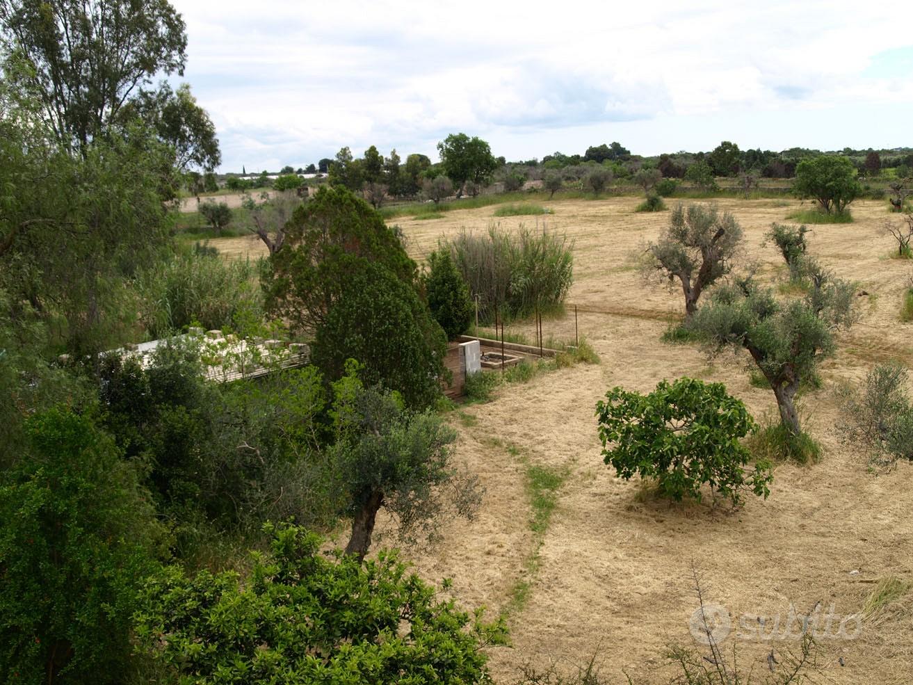 Agro di Gallipoli terreno 22000 Mq - Vista 2