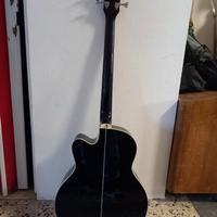 Basso acustico Ibanez e custodia