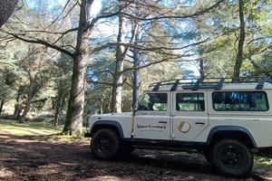 Defender  110 Land Rover