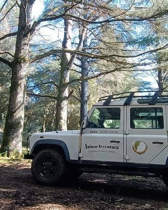 Defender  110 Land Rover