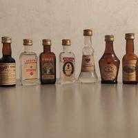 mignon miniature Stock