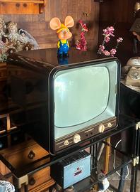 Tv magnadine