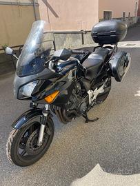Honda cbf 600
