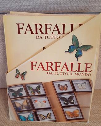 Collezione di 37 farfalle naturalizzate -  