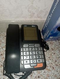 telefono fisso 