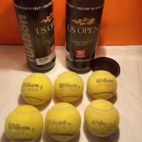 Palle da tennis Wilson e Dunlop 