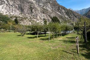 terreno recintato con acqua