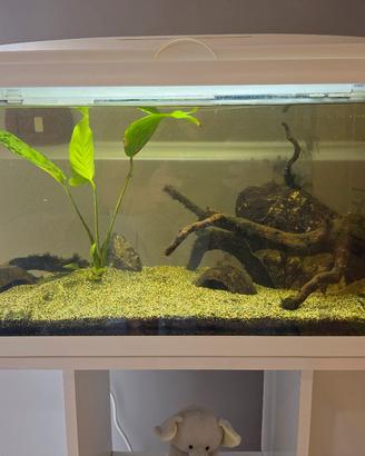 acquario 120L completo di mobiletto.