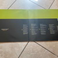 Independent 20 VINILE