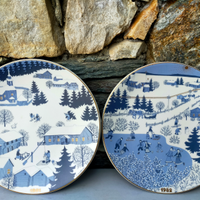 2 Piatti da collezione