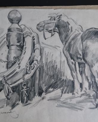 Disegno Aldo Raimondi