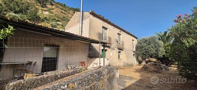 Terreno con uliveto e rustico a Bombile (Ardore)