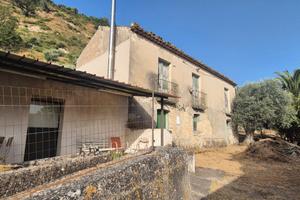 Terreno con uliveto e rustico a Bombile (Ardore)