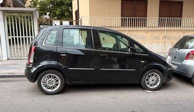 lancia musa