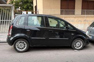 lancia musa