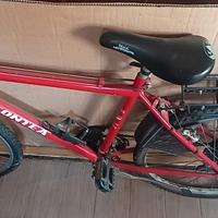 bicicletta Mountain bike viscontea