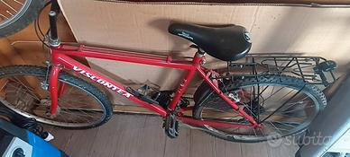bicicletta Mountain bike viscontea