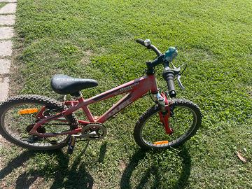 Bicicletta mountain bike bianchi 20